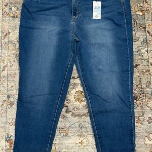 Curve Creator Curve Appeal Blue Women's Skinny Jeans